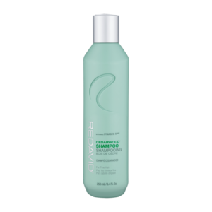 Cedarwood Weightless Shampoo
