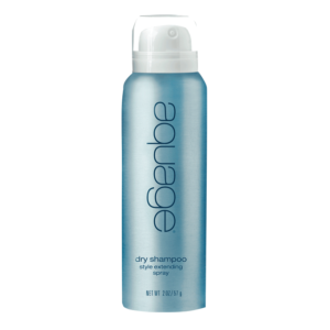 Dry Shampoo Style Extending Spray